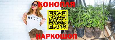 ПСИЛОЦИБИНОВЫЕ ГРИБЫ Дубна