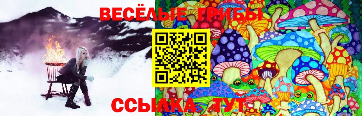 Лосино-Петровский  Галлюциногенные грибы Cubensis  Вход с VPN  Галлюциногенные грибы Psilocybe 